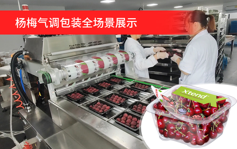案例01